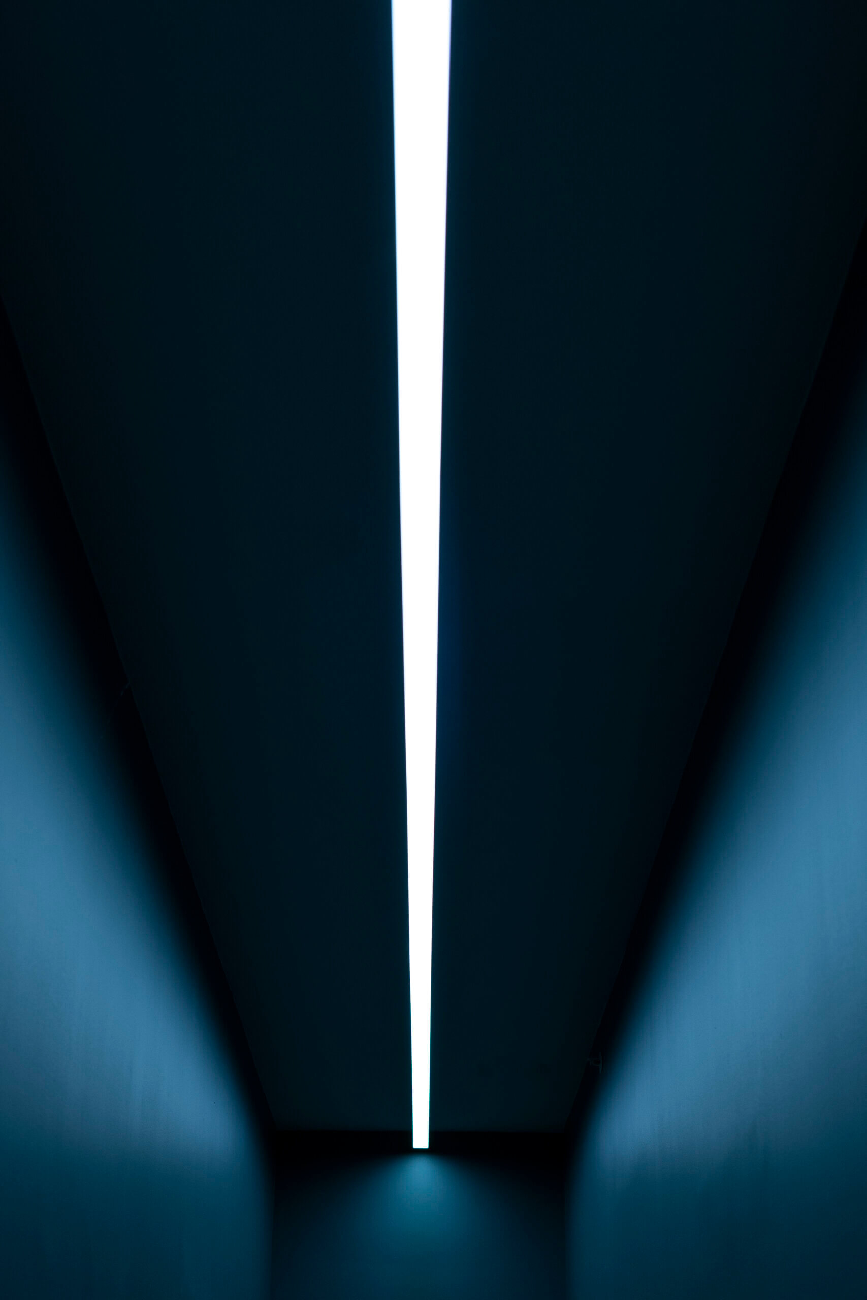 DSC0646